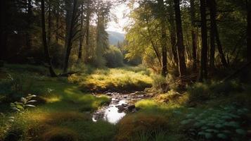 en fredlig skog clearing badade i värma solljus, omgiven förbi lång träd och frodig lövverk, med en mild ström sipprar genom de undervegetation och en avlägsen berg räckvidd synlig foto