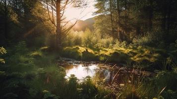 en fredlig skog clearing badade i värma solljus, omgiven förbi lång träd och frodig lövverk, med en mild ström sipprar genom de undervegetation och en avlägsen berg räckvidd synlig foto