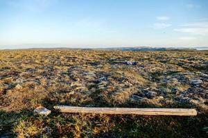 naturskön lantlig landskap foto