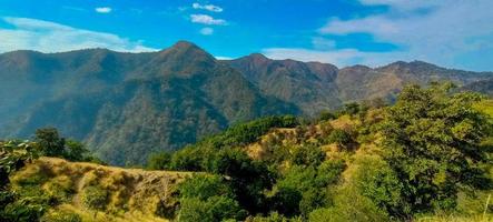 blomma natur uttarakhand foto