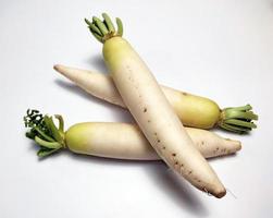 vit rädisa eller daikon isolerat i vit bakgrund foto