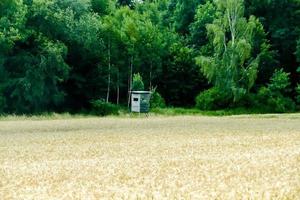 naturskön lantlig landskap foto