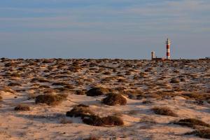 naturskön lantlig landskap foto