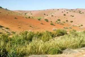 naturskön lantlig landskap foto