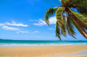 landskap sommar panorama främre se tropisk handflatan och kokos träd hav strand blå vit sand himmel bakgrund lugna natur hav skön Vinka vatten resa suan son strand thailand rayong foto