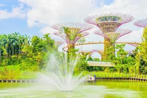 trädgård vid viken i singapore foto