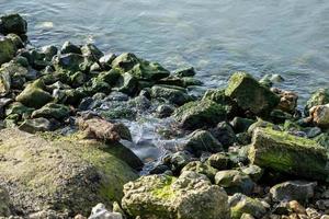 alger täckt stenar på de flodbank foto