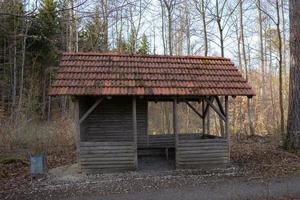 trä- stuga i de skog kall höst säsong foto