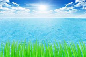 vackert blått himmel med färsk hav och grön gräs foto