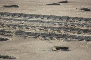 Foto av svart strand sand under de dag