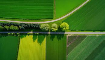 generativ ai, bruka landskap, jordbruks fält, skön landsbygden, Land väg. natur illustration, fotorealistisk topp se Drönare, horisontell baner. foto