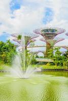trädgård vid viken i singapore foto
