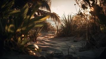 tropisk strand med handflatan träd och sand sanddyner på solnedgång, blå hav foto