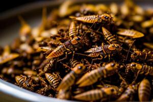 friterad ätlig insekter på en tallrik. syrsor som mellanmål, Bra källa av protein. entomofagi, insektsuppfödning begrepp. stänga upp se. generativ ai. foto