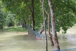 de lantlig områden av bangladesh tittade mycket skön under de översvämningar foto