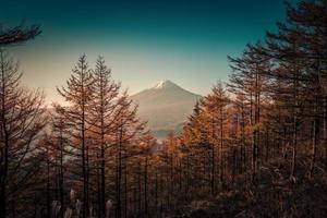 mt. fuji över sjö Kawaguchiko med höst lövverk på soluppgång i fujikawaguchiko, japan. foto