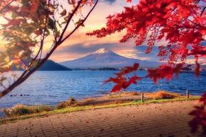 mt. fuji över sjö Kawaguchiko med höst lövverk på soluppgång i fujikawaguchiko, japan. foto