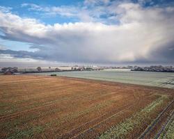 suffolk bruka fält på en frostig dag foto