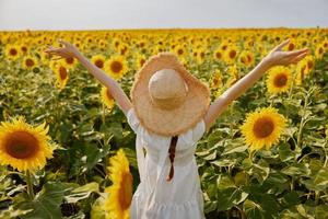 kvinna med hatt solros fält sommar frihet landskap foto