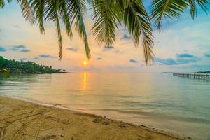 vacker paradisö med strand och hav runt kokospalmen foto