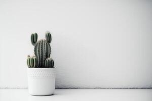 en verklig grön kaktus i en vit pott. illustration ai generativ foto
