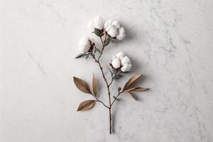 bomull blomma gren på vit marmor bakgrund. illustration ai generativ foto