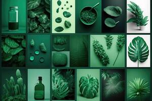 uppsättning av trendig estetisk Foto collage av växter och natur. illustration ai generativ