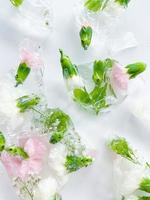 rosa och vit nejlikor med is bitar löv foto