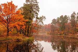 skön sjö i en skog med höst träd foto