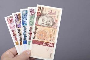 portugisiska pengar i de hand på en grå bakgrund foto