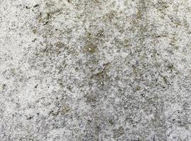 textur av de knäckt gammal betong golv foto