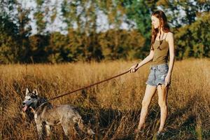 kvinna och henne hes hund lyckligt gående och löpning i de gräs i de fält leende med tänder höst solnedgång promenad med en sällskapsdjur, reser med en vän hund lycka foto