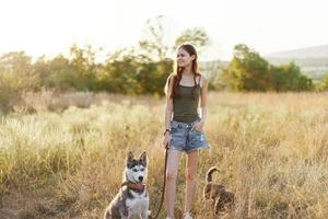 kvinna och henne hes hund lyckligt gående och löpning i de gräs i de fält leende med tänder höst solnedgång promenad med en sällskapsdjur, reser med en vän hund lycka foto