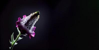 mörk fingerborgs blomma i svart bakgrund ai genererad foto