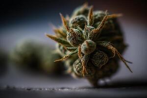 torr cannabis knopp närbild generativ ai foto