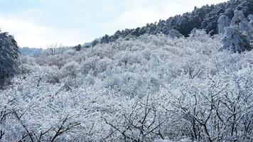 de skön frysta bergen se täckt förbi de vit snö och is i vinter- foto