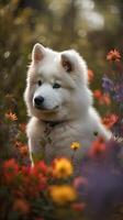 hund av de samojed ras sitter mot de bakgrund av en blomning äng. Lycklig hund. generativ ai foto