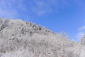 pulver snö berg i sapporo, hokkaido japan foto