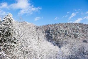 pulver snö berg i sapporo, hokkaido japan foto