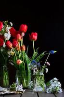 stilleben med buketter av röda tulpaner, fält tusenskönor, muscaris i glasburkar, körsbärsblommor på träbord på mörk bakgrund foto