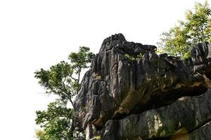 rock berg kulle med grön skog isolera på vit bakgrund foto