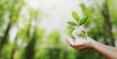 hand innehav glas klot boll med träd växande och grön natur fläck bakgrund. eco begrepp foto