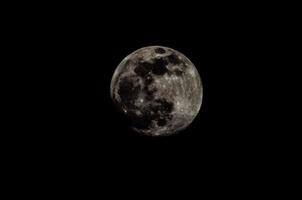 månen på natten foto