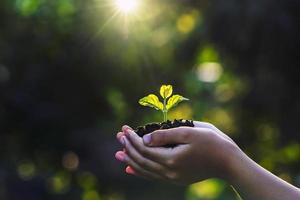 hand barn innehav ung växt med solljus på grön natur bakgrund. begrepp eco jord dag foto