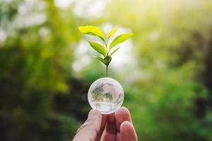 hand innehav klot glas och träd växande grön natur bakgrund. miljö eco dag begrepp foto