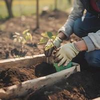 plantering träd för en hållbar framtida. gemenskap trädgård och miljö- bevarande - främja livsmiljö restaurering och gemenskap engagemang på jord dag foto