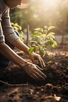 plantering träd för en hållbar framtida. gemenskap trädgård och miljö- bevarande - främja livsmiljö restaurering och gemenskap engagemang på jord dag foto