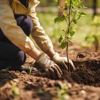 plantering träd för en hållbar framtida. gemenskap trädgård och miljö- bevarande - främja livsmiljö restaurering och gemenskap engagemang på jord dag foto