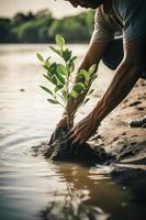 återställa de kustlinje gemenskap engagemang i plantering mangrove för miljö bevarande och livsmiljö restaurering på jord dag, främja hållbarhet. jord dag foto