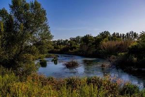 spanska landskap förbi de gallego flod i aragon på en värma sommar Sol dag med grön träd och blå himmel foto